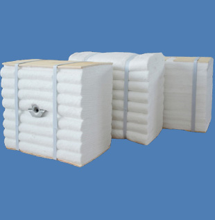 Ceramic Fiber Module